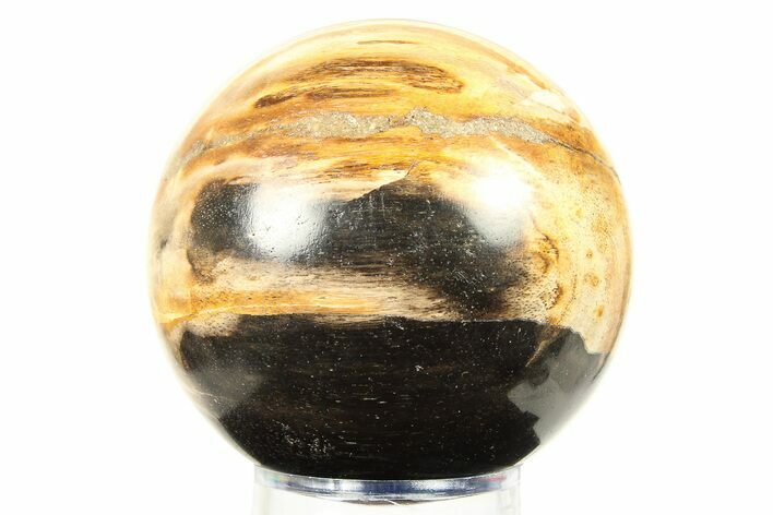 Petrified Wood (Tropical Hardwood) Sphere - Indonesia #274215